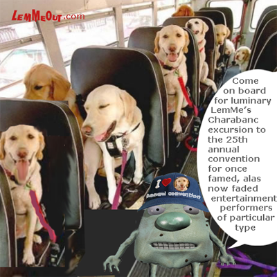 funny-picture-dogs-bus-ride-lemmeout